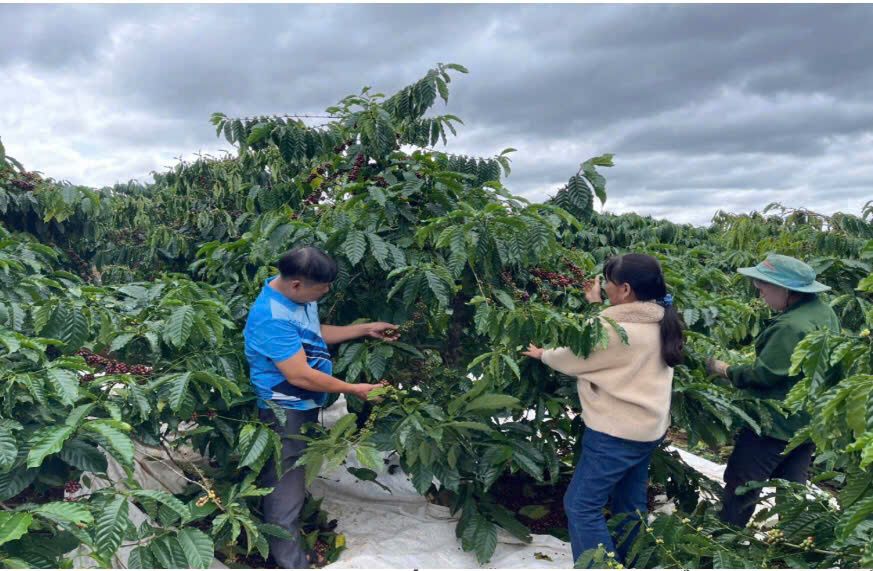 Người tổ trưởng nhiệt tình tận tâm với công việc luôn giúp hội viên trong tổ vượt qua khó khăn nhờ nguồn vốn vay từ ngân hàng chính sách xã hội